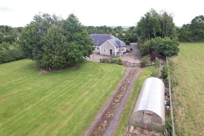 Kilmartin, Borris In Osssory, Laois