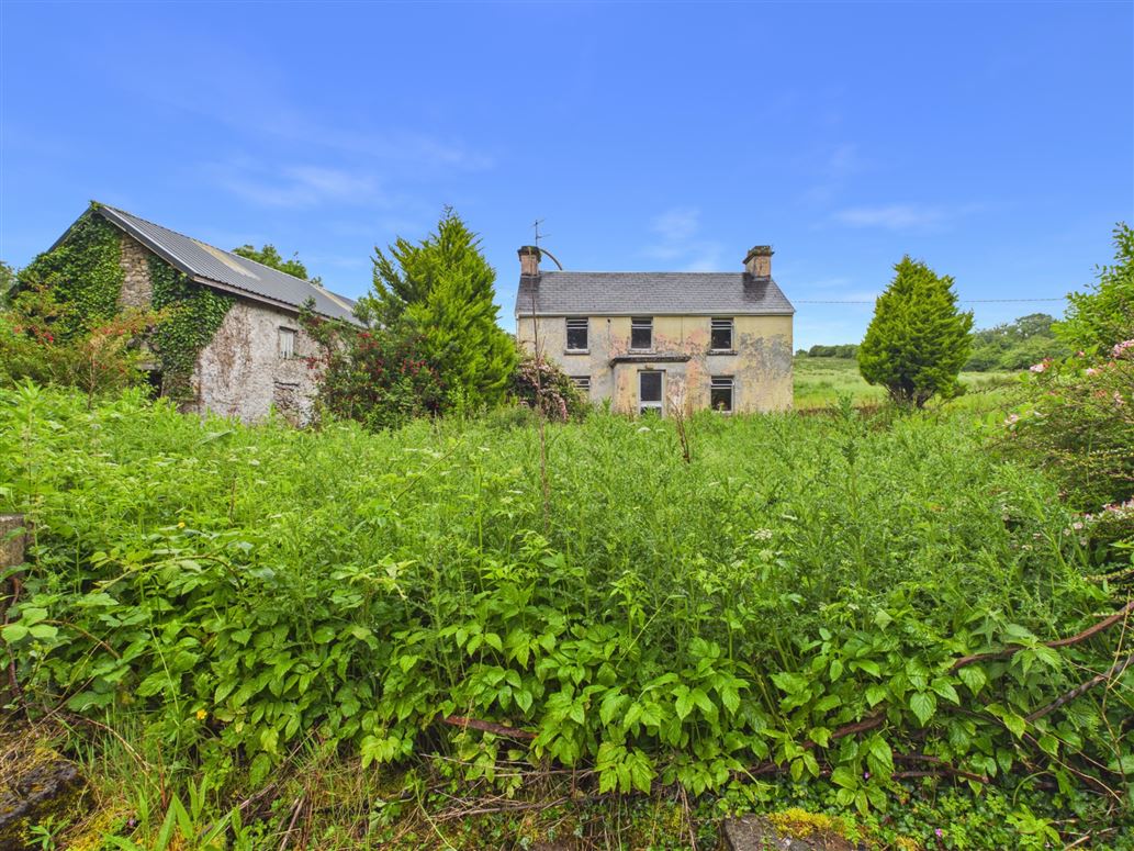 Srahaunananta, Kilnadeema, Loughrea, Co. Galway