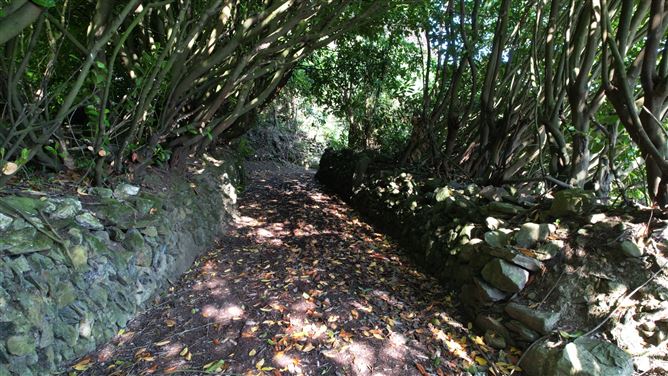 Gethings Cottage, Cummerduff, Gorey, Co. Wexford
