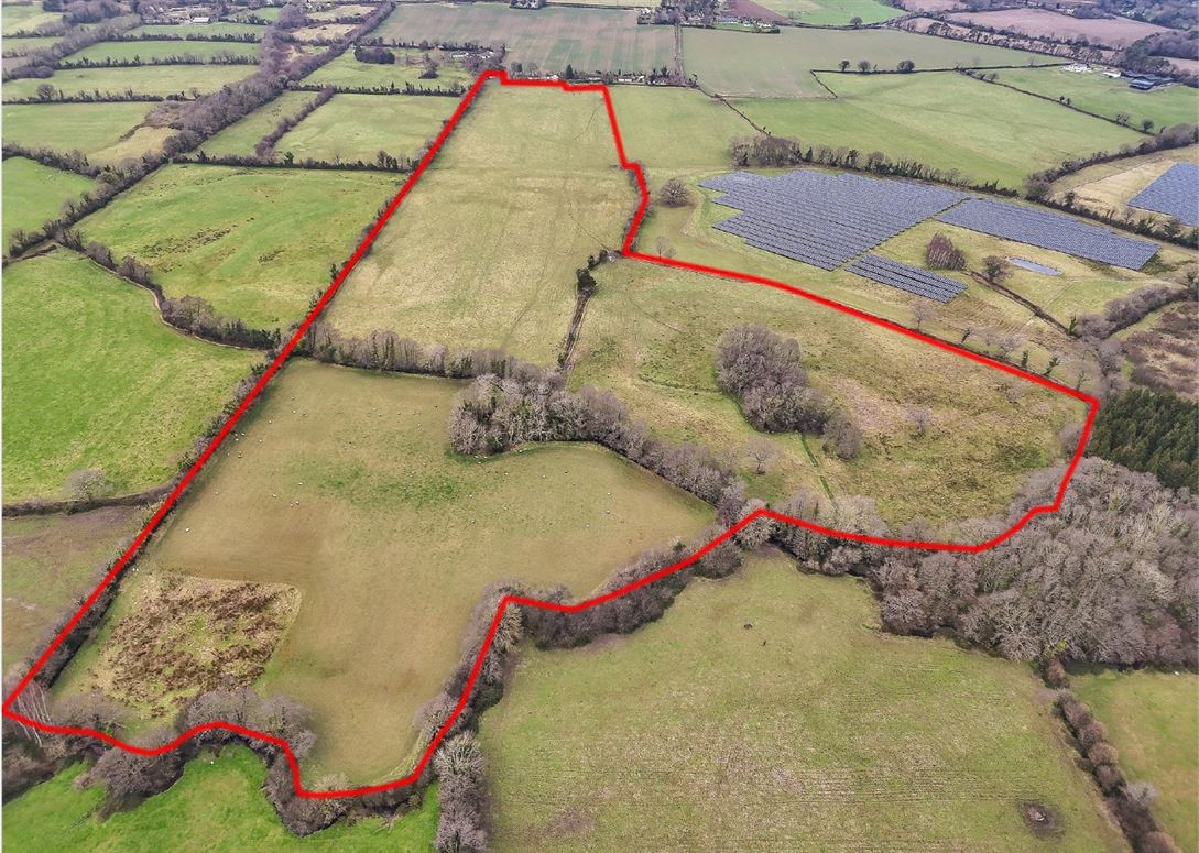 c.37 Acres Farm Land, Ashford, Wicklow