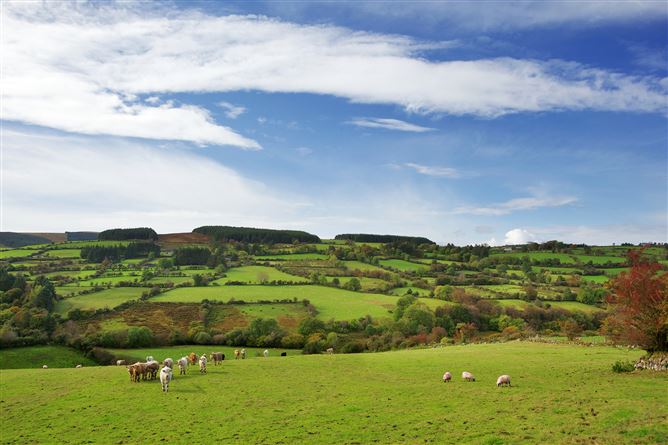 Ballymacarbry Upper, Ballymacarbry, Waterford