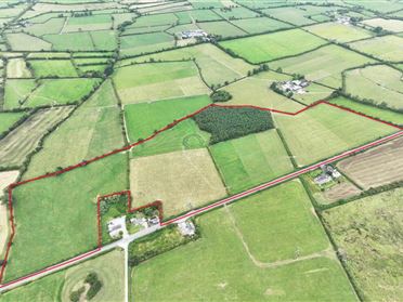 Cappanafaraha, Bruree, Limerick