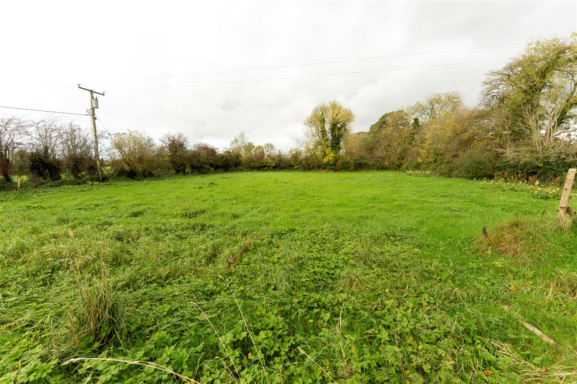 Scarteen, Knocklong, Limerick