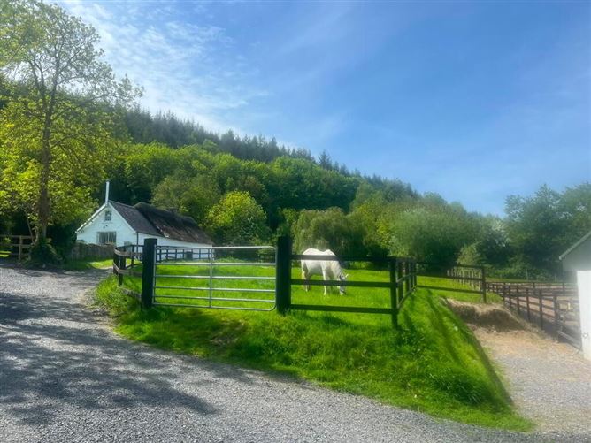 Kyleatlea, Mullinahone, Tipperary