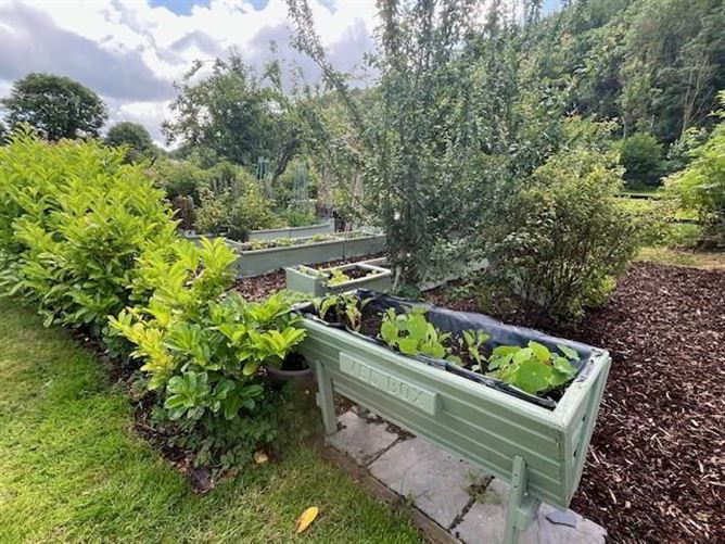 Photo 23 of 39 — Kyleatlea, Mullinahone, Tipperary