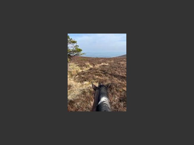 Photo 38 of 39 — Kyleatlea, Mullinahone, Tipperary