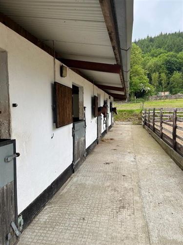 Photo 5 of 39 — Kyleatlea, Mullinahone, Tipperary