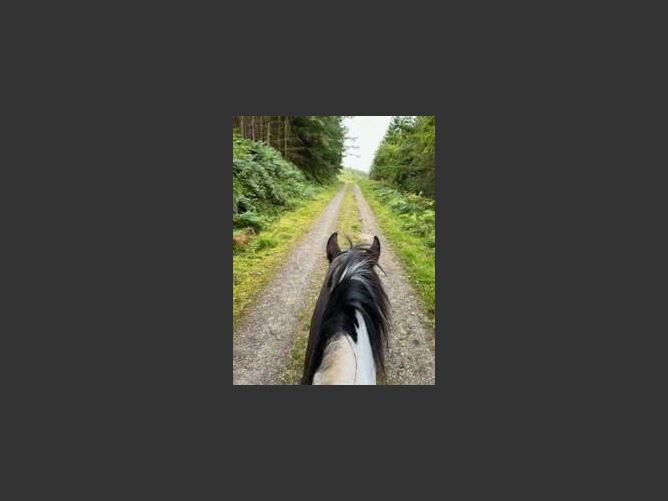 Photo 36 of 39 — Kyleatlea, Mullinahone, Tipperary