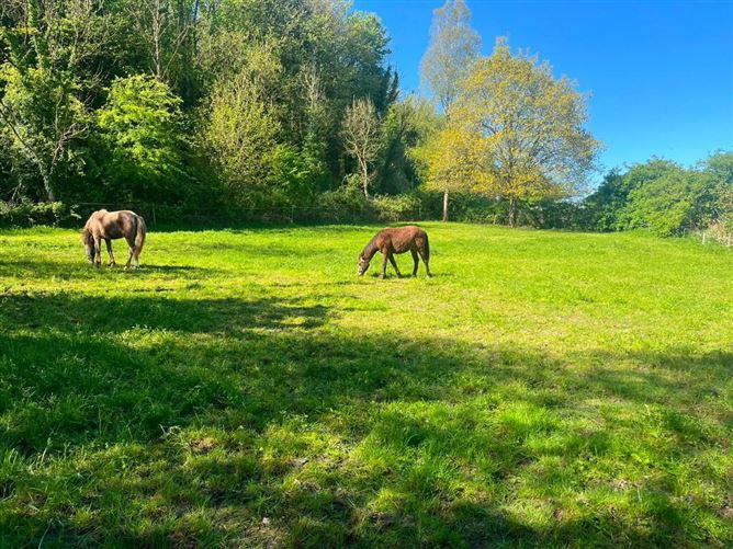 Photo 7 of 39 — Kyleatlea, Mullinahone, Tipperary
