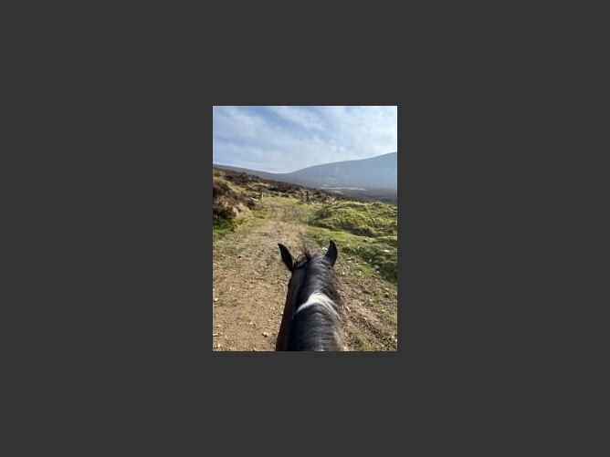 Photo 37 of 39 — Kyleatlea, Mullinahone, Tipperary