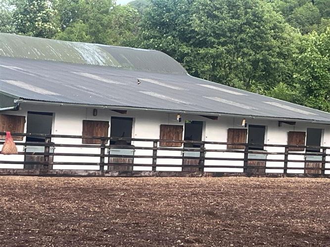 Photo 26 of 39 — Kyleatlea, Mullinahone, Tipperary