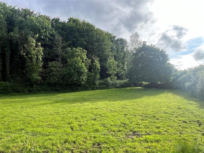 Photo 33 of 39 — Kyleatlea, Mullinahone, Tipperary