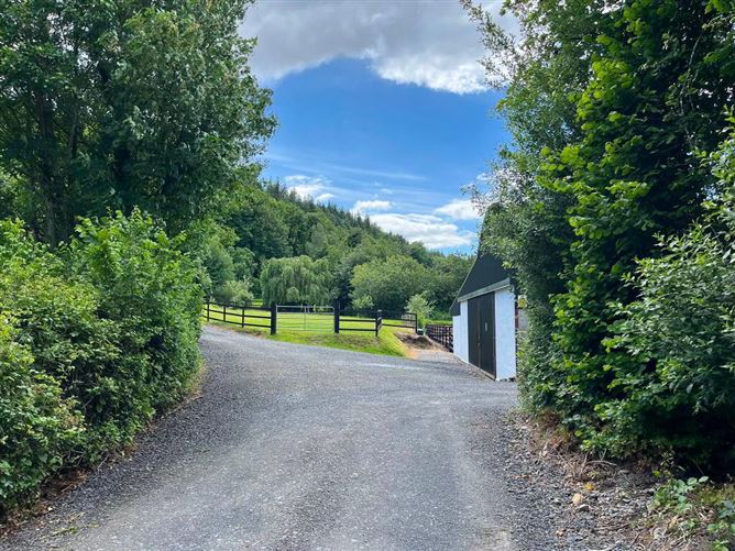 Photo 6 of 39 — Kyleatlea, Mullinahone, Tipperary
