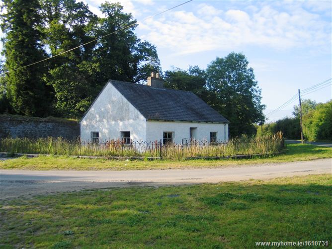 Kilcooley Abbey , Thurles, Co. Tipperary 