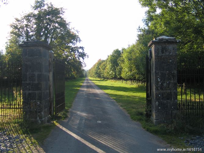 Kilcooley Abbey , Thurles, Co. Tipperary 