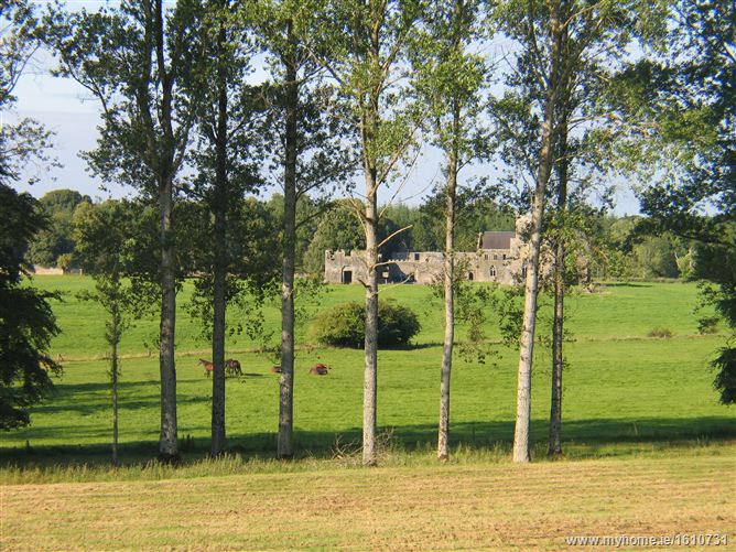 Kilcooley Abbey , Thurles, Co. Tipperary 