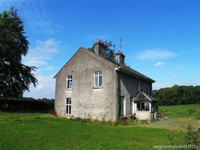 Kilcooley Abbey , Thurles, Co. Tipperary 