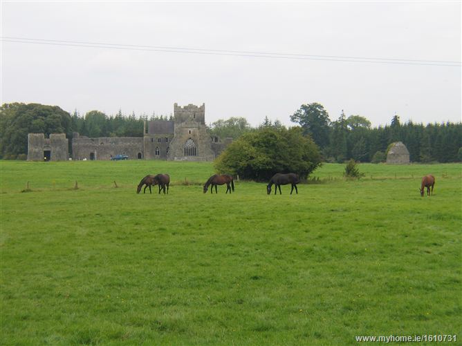 Kilcooley Abbey , Thurles, Co. Tipperary 