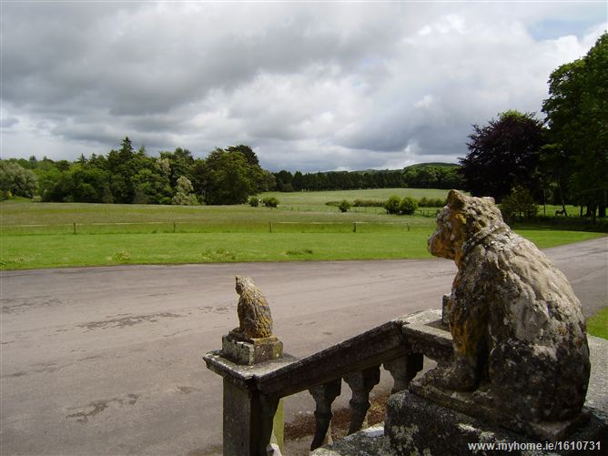 Kilcooley Abbey , Thurles, Co. Tipperary 