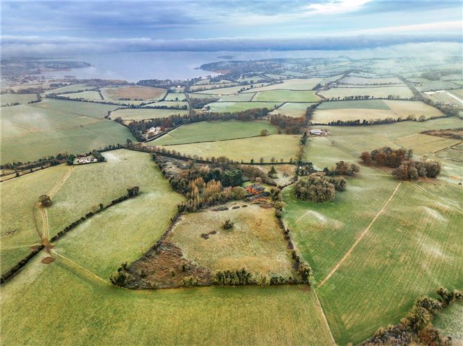 Ballycraggan House,Puckane,Nenagh,Co Tipperary,E45 FD92 Savills