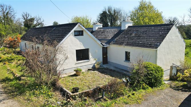 Bryanmore, Elphin, Roscommon