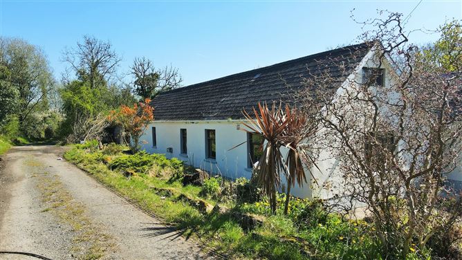 Bryanmore, Elphin, Roscommon