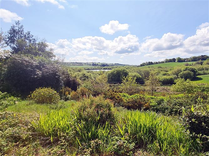 Ballinacarriga, Dunmanway, Cork