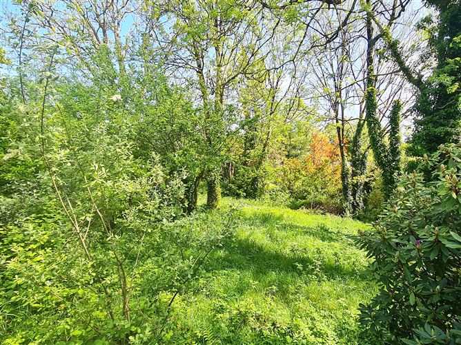 Ballinacarriga, Dunmanway, Cork