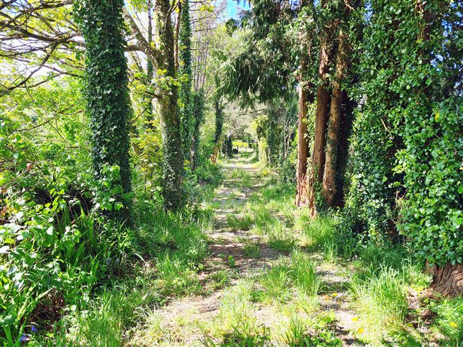 Ballinacarriga, Dunmanway, Cork