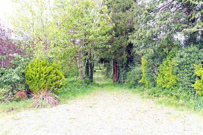 Ballinacarriga, Dunmanway, Cork