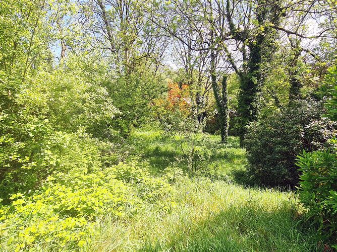 Ballinacarriga, Dunmanway, Cork