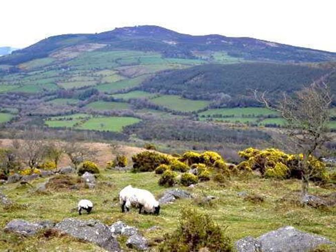 Scart, Ballinamult, Waterford