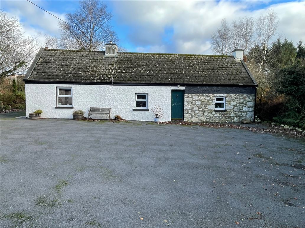 Ballymaconey on C 11 Acres, Rathdangan, Wicklow