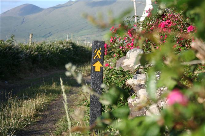 Luxury Dingle Farmhouse Rental,Vacation Rental in Kerry, Ireland