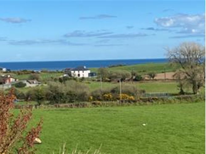 Ballina Upper, Blackwater, Co. Wexford