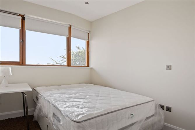 Booterstown Wood, Booterstown, Co. Dublin