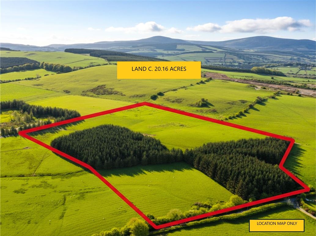 Land c. 20.16 acres/ 8.16 Ha., Punchestown Upper, Kilteel, Kildare