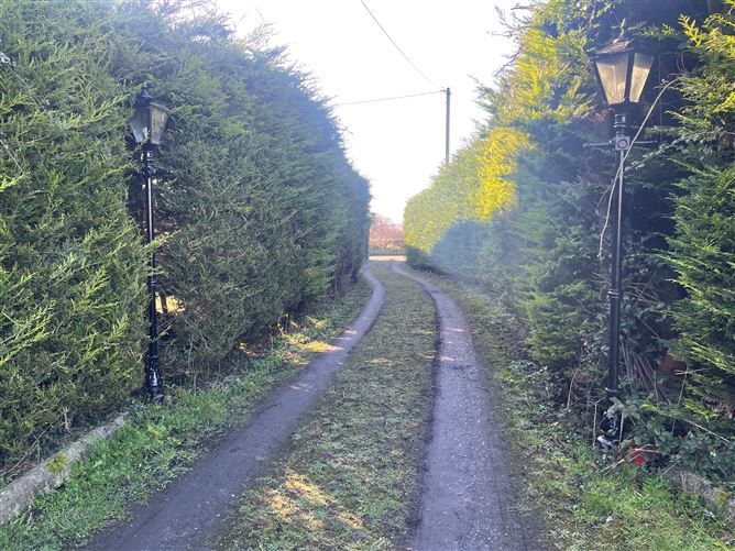 "Blackstairs View", Ballytiglea, Borris, Carlow