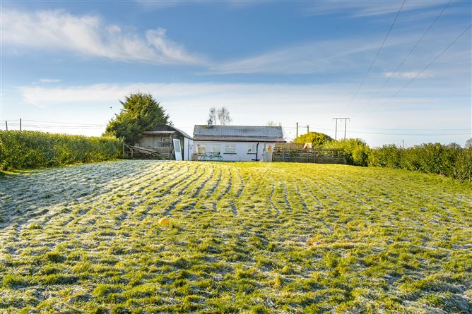 Ballagh, Monasterevin, Kildare