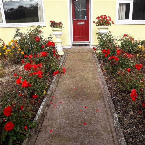 Monallig, Carrigadrohid, Cork
