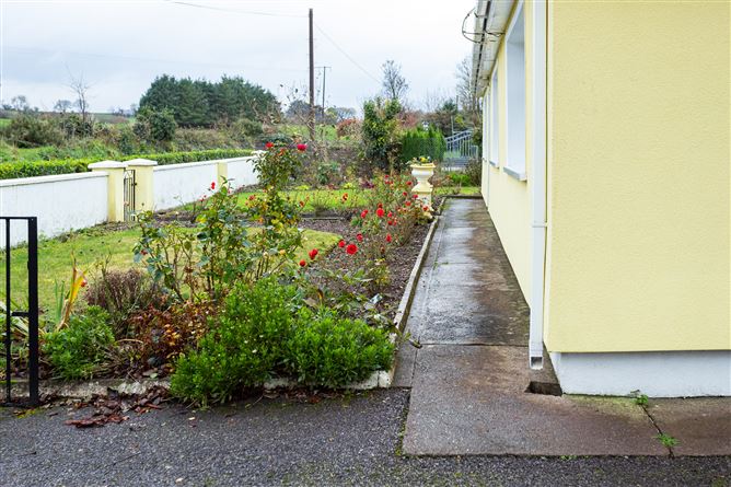 Monallig, Carrigadrohid, Cork