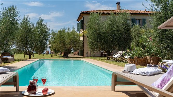 Mediterranean Flowers,Bibbona,Tuscany,Italy