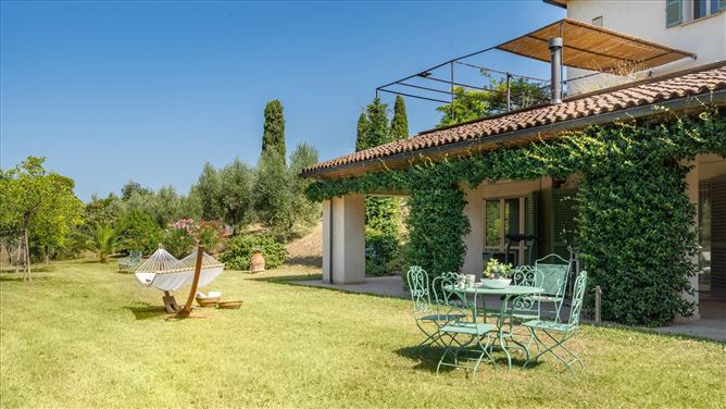 Mediterranean Flowers,Bibbona,Tuscany,Italy