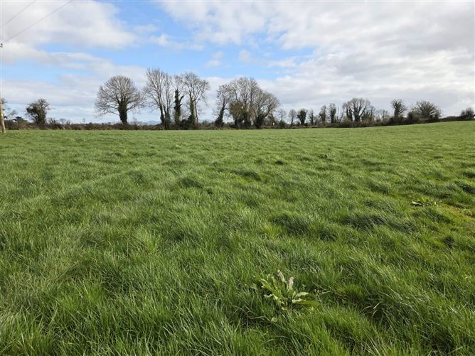 Castlefarm, Hospital, County Limerick