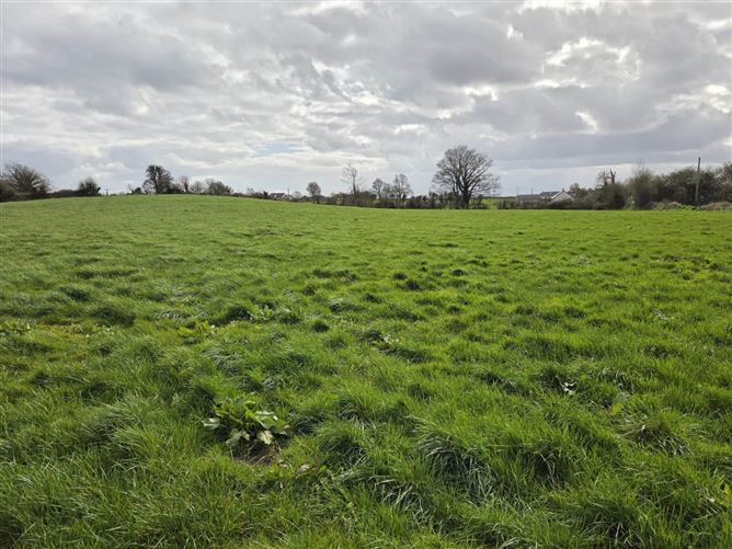 Castlefarm, Hospital, County Limerick