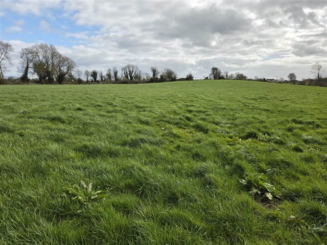 Castlefarm, Hospital, County Limerick