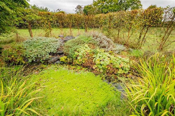 Ballinacor, Delvin, Westmeath