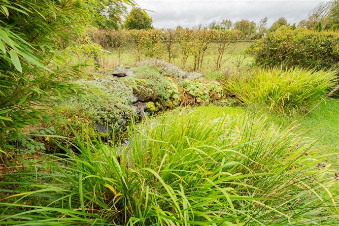 Ballinacor, Delvin, Westmeath