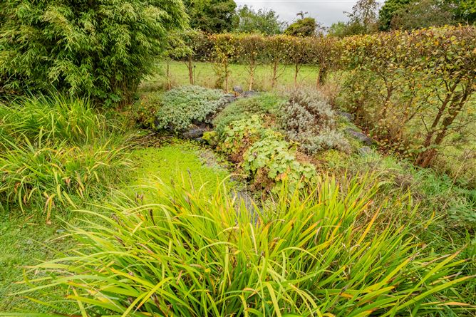 Ballinacor, Delvin, Westmeath