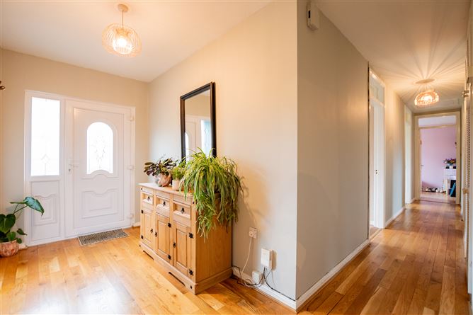 Ballinacor, Delvin, Westmeath